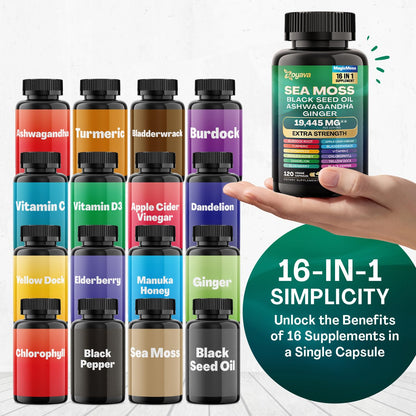 Zoyava Sea Moss 7000mg Black Seed Oil 4000mg Ashwagandha 2000mg Turmeric - Maple Wellness Supplements