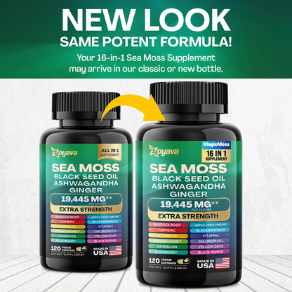 Zoyava Sea Moss 7000mg Black Seed Oil 4000mg Ashwagandha 2000mg Turmeric - Maple Wellness Supplements